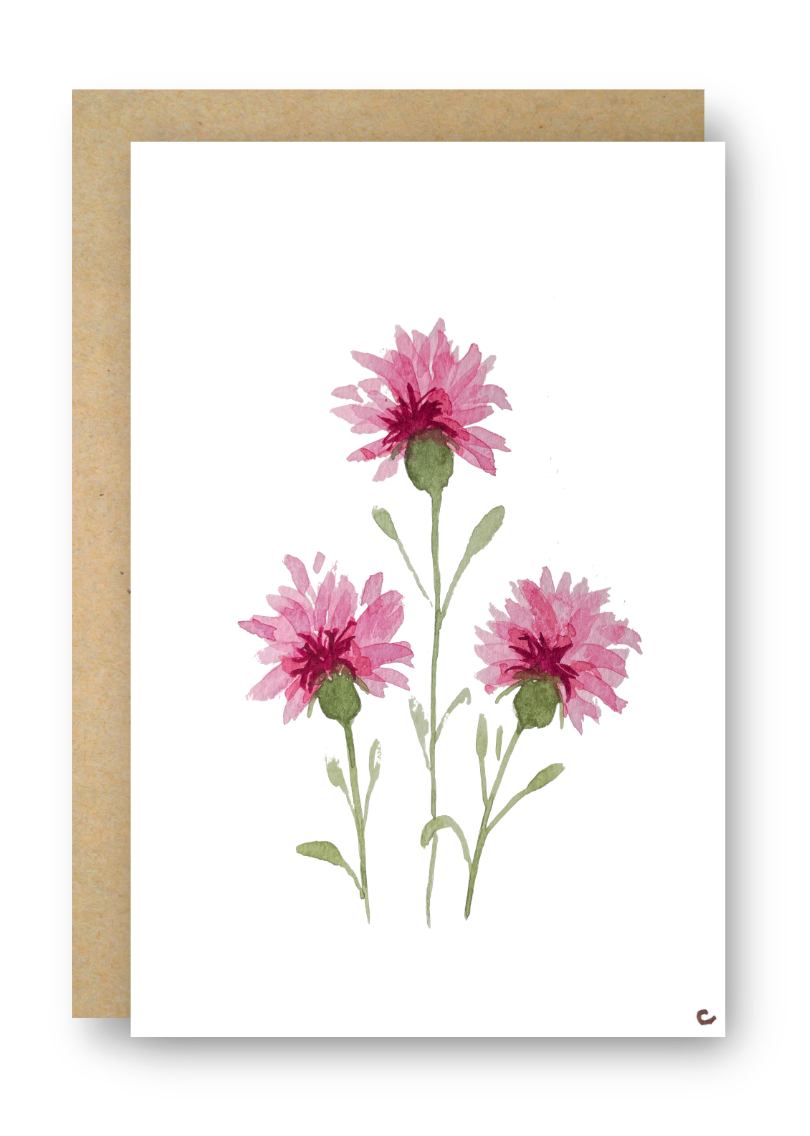 Pink Florals