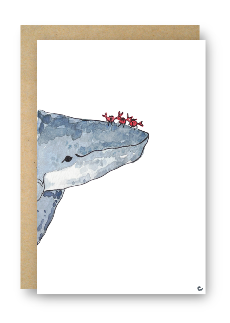 Whale & Friends