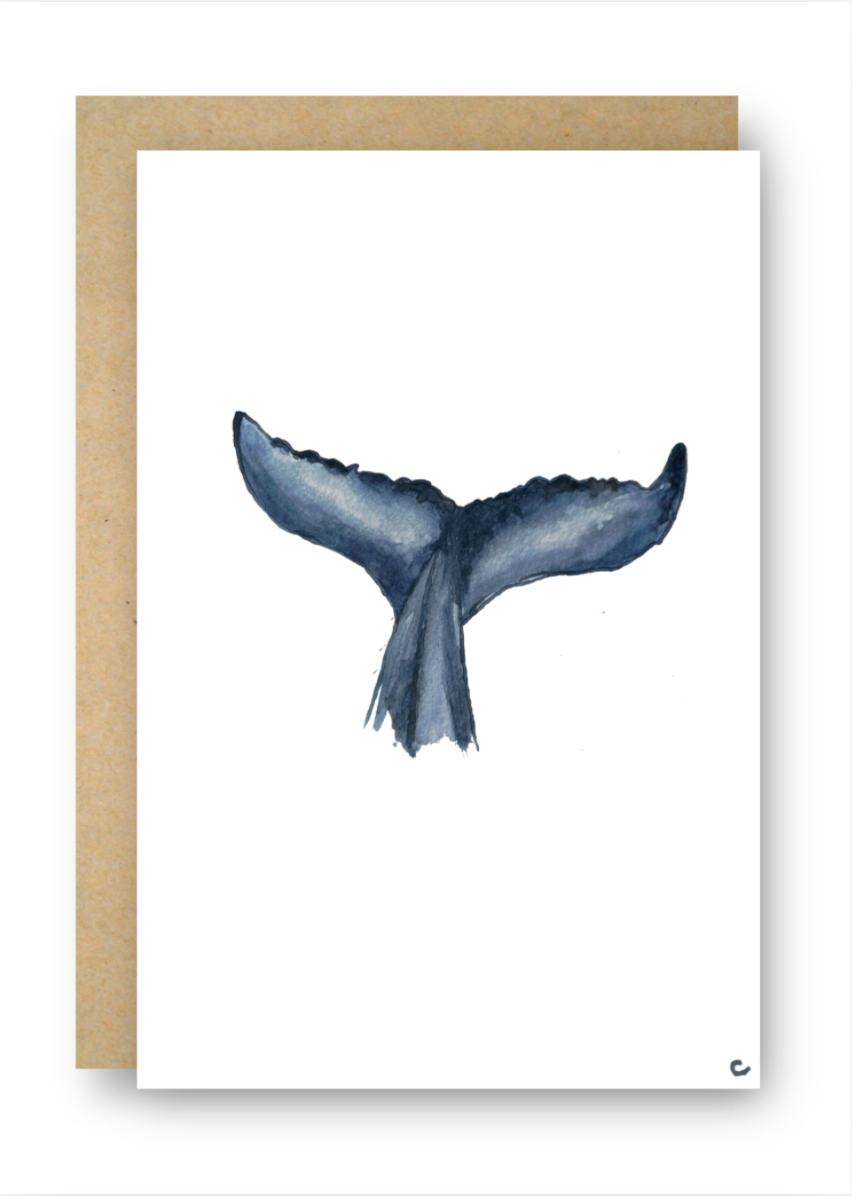 Whale Tail