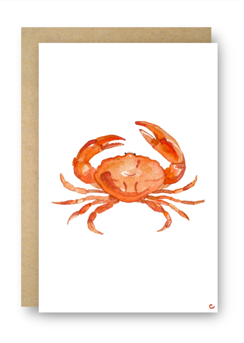 Coastal Collection