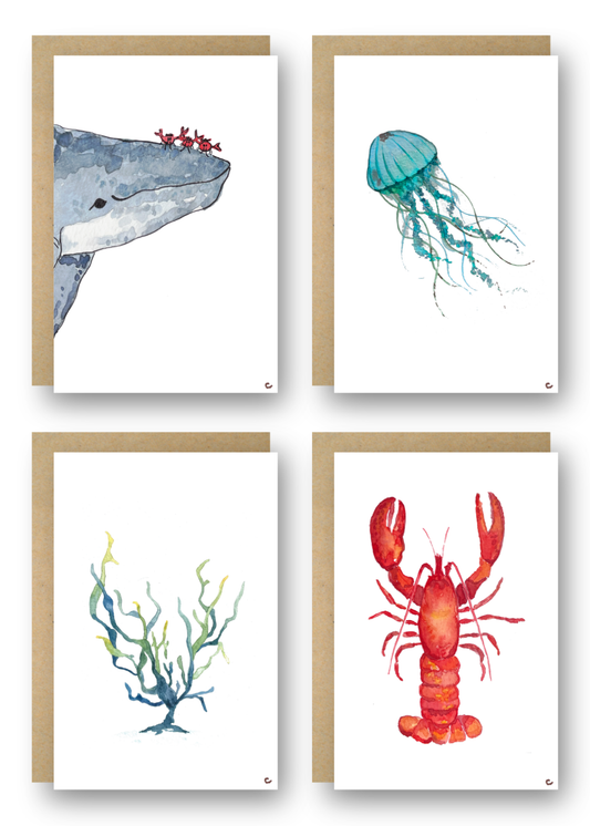Deep Sea Collection