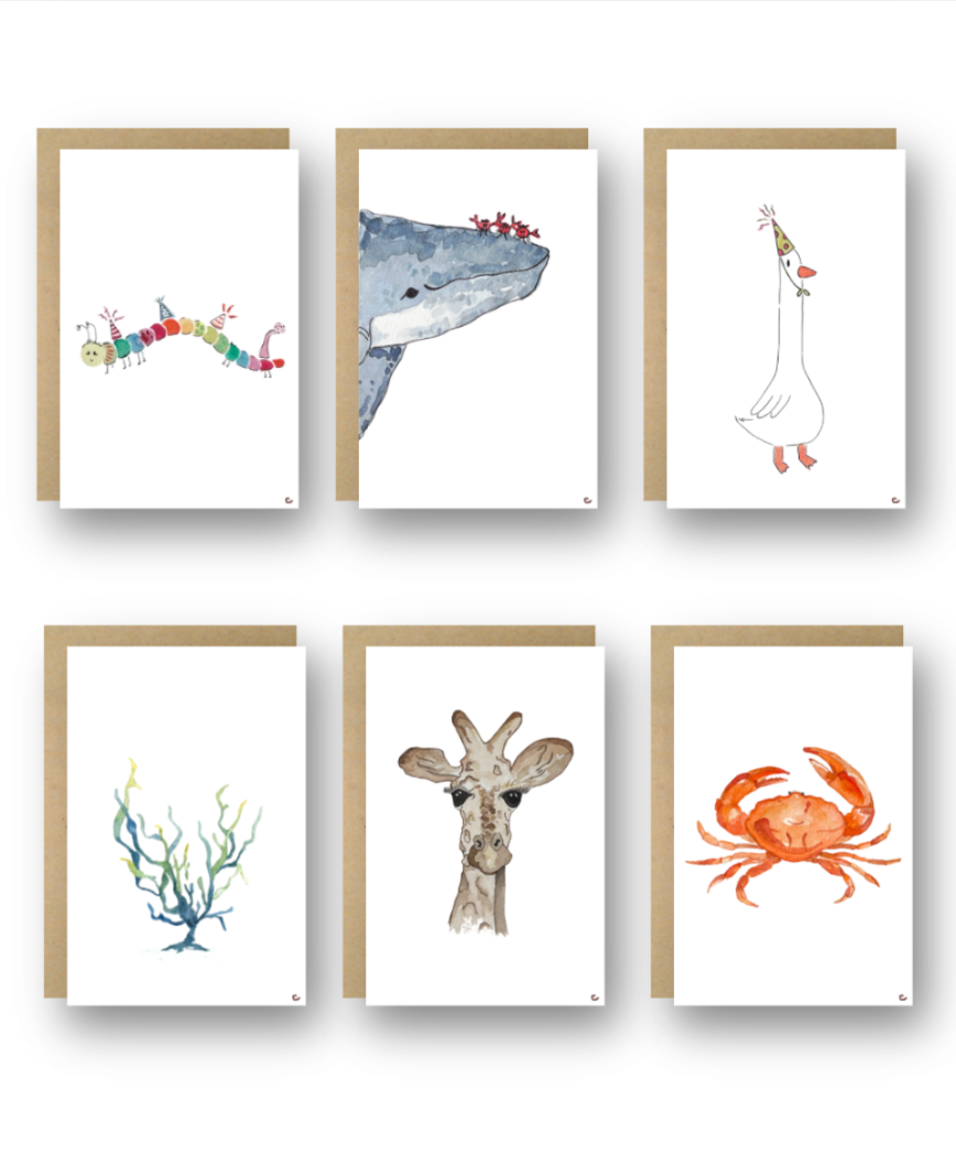 Set of Six (Test)