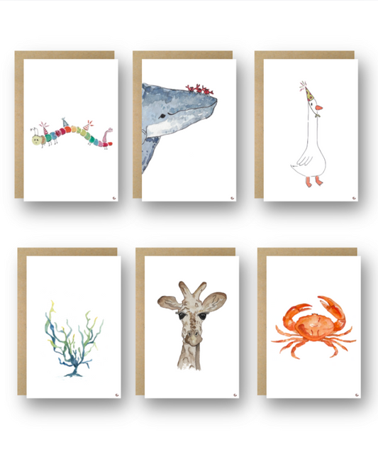 Set of Six (Test)