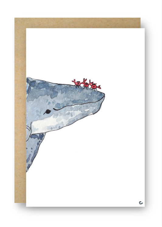 Whale & Friends